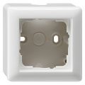 Gira System 55 opbouwraam 1-voudig inclusief afdekraam polarwit 66.051.32