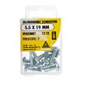 Deltafix schroef zelfborend cilinderkop Phillips PH verzinkt 5.5x19 mm DIN 7504N blister 12 stuks 11555