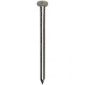 HJZ nagel 1.6x20 mm bombe kop RVS A2 1 kg 86941532