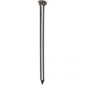 HJZ nagel 4.0x110 mm platte geruite kop RVS A2 2.5 kg 86943719
