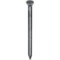 HJZ nagel 2.5x30 mm plat-conisch kop blauw 2.5 kg 88013234