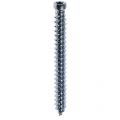 Steelies Ultimate beton-kozijnschroef 7,5x42 mm cilinderkop CK Torx T 25 verzinkt M1010750421