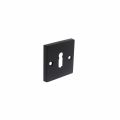 Intersteel Living 3184 sleutelplaatje met nokken vierkant 55x55x8 mm messing zwart 0023.318416