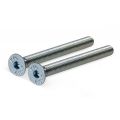 GPF Bouwbeslag AG0301 staal gegalvaniseerd bout DIN7991 2x M5x40 mm voor veiligheids KT rozet tot deurdikte 34 mm gegalvaniseerd AG0301