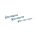 GPF Bouwbeslag GPFAG0332 binnenzeskantbout set PK DIN 7991 10.9 galvanisch verzinkt voor set veiligheids schilden tot deurdikte 104 mm 2x M8x110-1x M6x110 mm AG0332