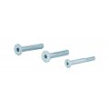 GPF Bouwbeslag AG0333 binnenzeskantbout PK DIN 7991 10.9 galvanisch verzinkt voor set veiligheids schilden tot deurdikte 44 mm 2x M8x45/1x M6x50 mm gegalvaniseerd AG0333