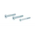 GPF Bouwbeslag AG0334 binnenzeskantbout PK DIN 7991 10.9 galvanisch verzinkt voor set veiligheids schilden tot deurdikte 54 mm 2x M8x60/1x M6x60 mm gegalvaniseerd AG0334