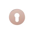GPF Bouwbeslag Entree GPF0902VRT2 cilinderrozet rond 53x6 mm Blush GPF0902VR108T2