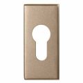 GPF Bouwbeslag Anastasius GPF1101.A4 cilinderrozet rechthoekig 70x32x10 mm Champagne blend GPF1101A40902