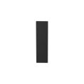 GPF Bouwbeslag ZwartWit GPF1215.61L/R blind kortschild gatdeel rechthoekig 169x46x8,5 mm geheel blind links-rechtsdraaiend zwart GPF1215610200