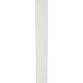 GPF Bouwbeslag ZwartWit GPF1275.62L/R blind langschild gatdeel XL rechthoekig 282x40x8,5 mm geheel blind links-rechtsdraaiend wit GPF1275620200