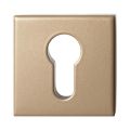 GPF Bouwbeslag Anastasius GPF9386.A4 veiligheidsbuitenrozet vierkant 54x54x12,5 mm SKG*** Champagne blend GPF9386A4O199