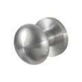 GPF Bouwbeslag RVS 9859.09-00 S5 GPF9859.09-00 RVS Paddenstoel knop S5 52 mm met wisselstift op rond rozet RVS geborsteld GPF9859090400-00