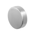 GPF Bouwbeslag RVS 9860.09 S4 excentrische knop 60x16 mm voor veiligheids schilden vast met bout M10 RVS geborsteld GPF986009410