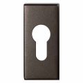 GPF Bouwbeslag Anastasius GPF1101.A1 cilinderrozet rechthoekig 70x32x10 mm Dark blend GPF1101A10902