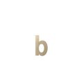 GPF Bouwbeslag Anastasius 9800.A4.0156-b letter B 156 mm Champagne blend GPF9800A40156-b