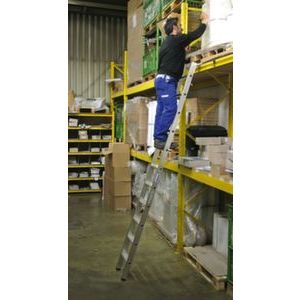 Orbis stellingladder aluminium 2 haken 8 treden boom L 2,20 m 203647