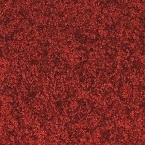 Orbis schoonloopmat bxL 400x600 wasbaar kleur rood 501176