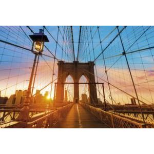 Orbis muurdecoratie motief Brooklyn Bridge HxB 650x 980 mm plexiglas 185075