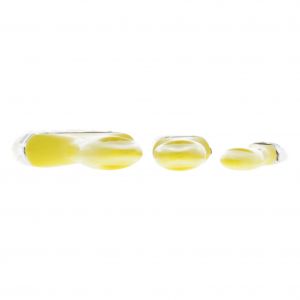 Budgetline kwastenset platte kwast maat 1/2-1-2 3 delig 21.470.08