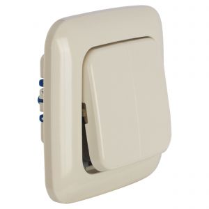 Busch-Jaeger SI afdekraam inbouw 1-voudig crème 66.000.21