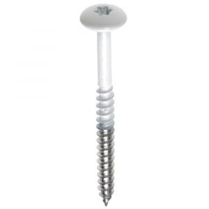 Fisinox kleurkopschroef 4,8x25 mm Torx TX 20 RVS A4 AISI 316 Ki-kern 161 ivoor 63751734