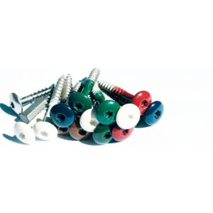 Fisinox kleurkopschroef 4,8x25 mm Torx TX 20 RVS A4 AISI 316 Ki-kern 161 ivoor 63751734