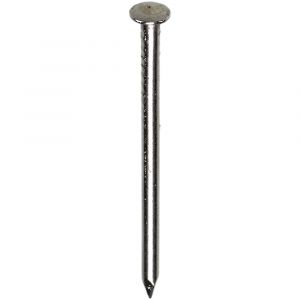 HJZ nagel 1.6x20 mm bombe kop RVS A2 1 kg 86941532