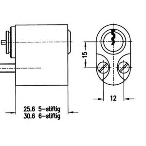 Evva dubbele portaalcilinder TSC 41x20 mm stiftsleutel conventioneel verschillend sluitend messing vernikkeld PDZ-TSC-NI