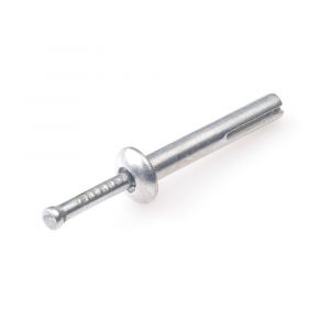 Rawl metalen nagel plug zamak 6x50 mm 100 stuks R04-KMW-06050