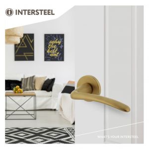 Intersteel Living 0466 deurkruk Zaia met geveerde kunststof rozet met nokken diameter 50x7 mm messing mat PVD 0014.046602