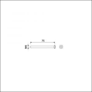 Ami patentschroef met zaagsnede RVS M6x75 mm voldraad set 10 stuks 900394