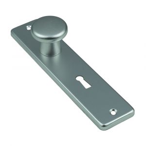 Ami 180/41 RH knopkortschild aluminium rondhoek knop 160/40 vast kortschild 180/41 RH sleutelgat SLG 56 F2 310802