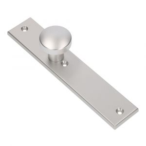 Ami 251/50/8 knoplangschild aluminium knop 169/50 vast langschild 251/50/8 blind R6,5 F1 323960