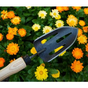 DeWit tuinschepje met open blad essen knopsteel 480 mm 3025