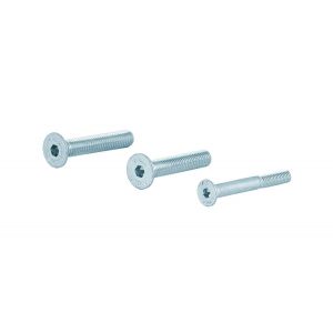 GPF Bouwbeslag AG0333 binnenzeskantbout PK DIN 7991 10.9 galvanisch verzinkt voor set veiligheids schilden tot deurdikte 44 mm 2x M8x45/1x M6x50 mm gegalvaniseerd AG0333