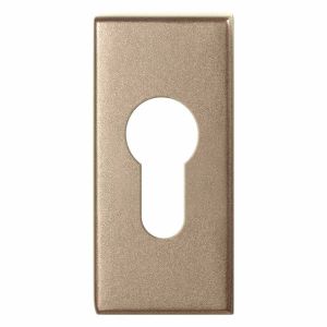 GPF Bouwbeslag Anastasius GPF1101.A4 cilinderrozet rechthoekig 70x32x10 mm Champagne blend GPF1101A40902
