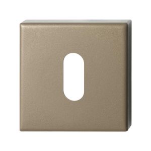 GPF Bouwbeslag Anastasius 1102.A4.0901 sleutelrozet 50x50x8 mm Champagne blend GPF1102A40901