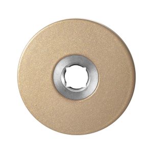 GPF Bouwbeslag Anastasius 1105.A4 rond click rozet 50x6 mm Champagne blend GPF1105A40100