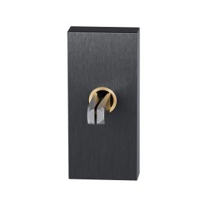 GPF Bouwbeslag PVD GPF1131.P1.0060 draaikiepmechanisme rechthoekig 65x30x12 mm met stift binnenzijde 65 mm PVD antraciet GPF1131P10060