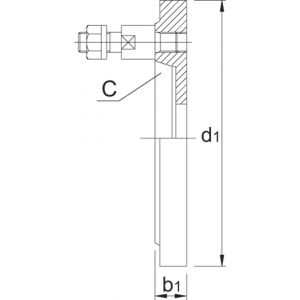 Bison 85.961 klauwplaatflens gietijzer halfbewerkte gereedschapshouder type 8232 ISO 702-3 (DIN 55027) C6 250 mm 85.961.2506