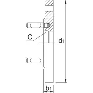 Bison 85.962 klauwplaatflens gietijzer halfbewerkte gereedschapshouder type 8242 ISO 702-2 (DIN 55029 Camlock) C5 160 mm 85.962.1605