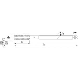 Phantom 26.161 HSS-E roltap DIN 2174 met smeergroef metrisch TiCN voor blinde en doorlopende gaten M18 26.161.1800