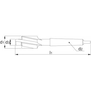 Phantom 43.410 HSS-E kopverzinkboor DIN 373 180 graden middelpassing MK 2 M12 14x20 mm 43.410.1200